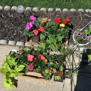 Meet your Posher, Michelle